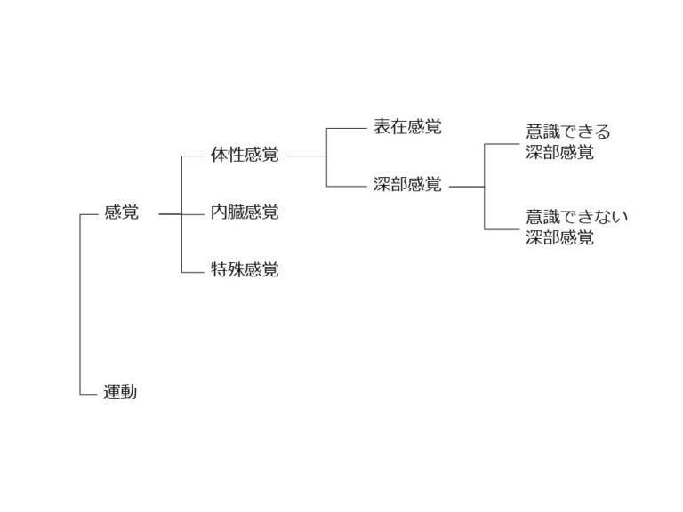 公認心理学 | 感覚と運動